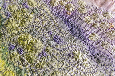 Similar image 7396326