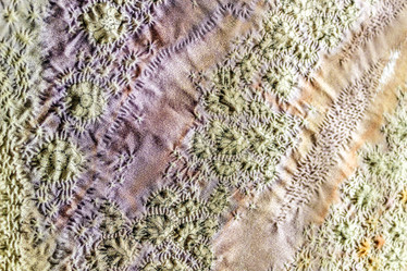 Similar image 7396327