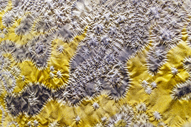 Similar image 7396328