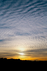 Similar image 7396654