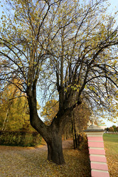 Similar image 7396672