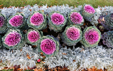 Similar image 7396678