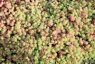 Similar image 7396683