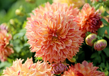 Similar image 7396684