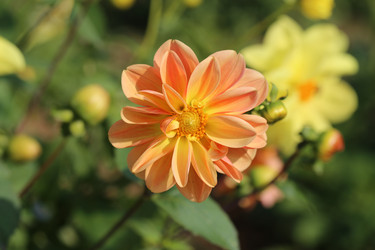 Similar image 7396685