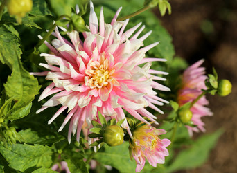 Similar image 7396688