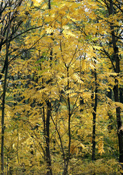 Similar image 7396692