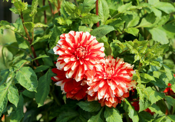 Similar image 7396694