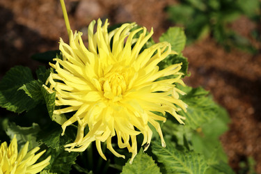 Similar image 7396707