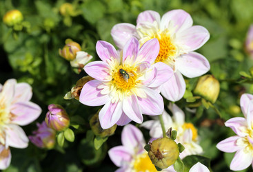 Similar image 7396712