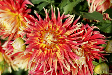 Similar image 7396722