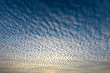 Similar image 7396728