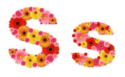 Similar image 7396795