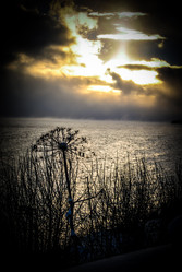 Similar image 7396810