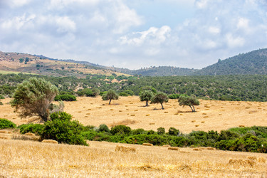 Similar image 7396905