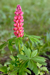 Similar image 7396912