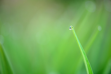 Similar image 7396914