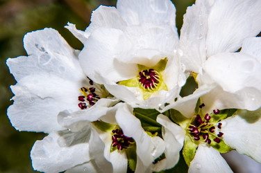 Similar image 7396930