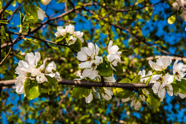 Similar image 7396931