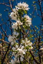 Similar image 7396932