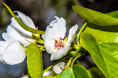 Similar image 7396935