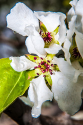 Similar image 7396936