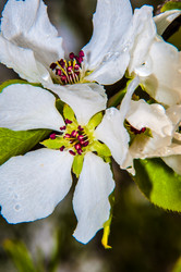 Similar image 7396937