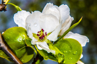 Similar image 7396938