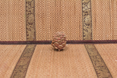 Similar image 7396941