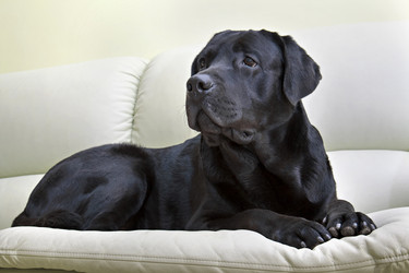 Similar image 7396957