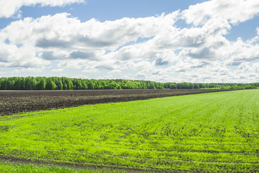 Similar image 7396981