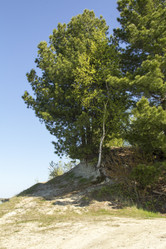 Similar image 7396990