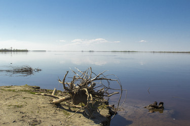 Similar image 7396993