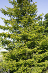 Similar image 7396995