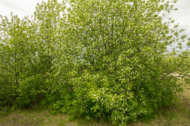 Similar image 7396996