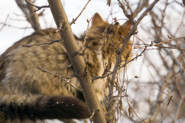 Similar image 7397207