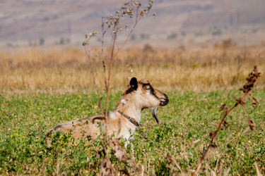 Similar image 7397241