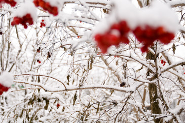 Similar image 7397271