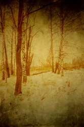 Similar image 7397282