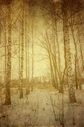 Similar image 7397296