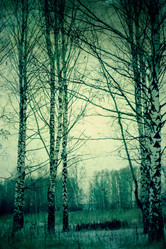 Similar image 7397297