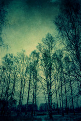 Similar image 7397298