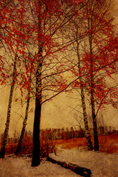 Similar image 7397299