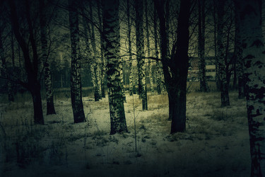 Similar image 7397301