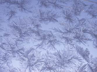 Similar image 7397309