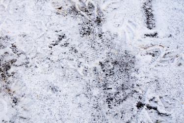 Similar image 7397314