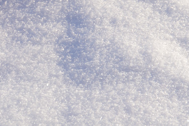 Similar image 7397316