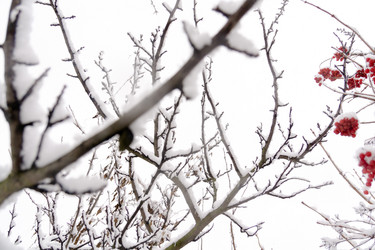 Similar image 7397321