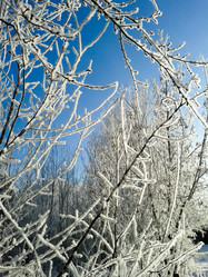 Similar image 7397392