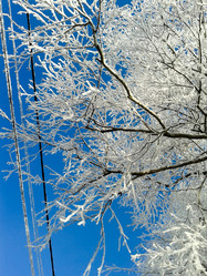 Similar image 7397393